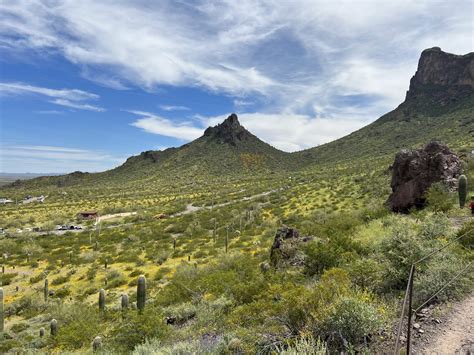 Wildflowers and More at Picacho Peak State Park - Phoenix With Kids