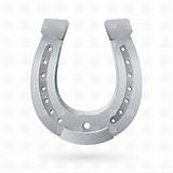 Images of Silver Horseshoes