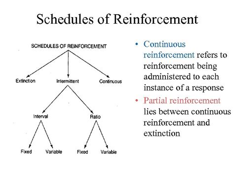 Reinforcement Schedules 1 Continuous Reinforcement Reinforces The Desired