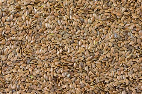 Linen Seeds Free Stock Photo Public Domain Pictures