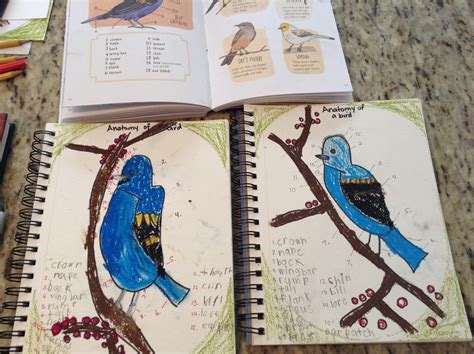 Teachermomplus3 Nature Study Birds