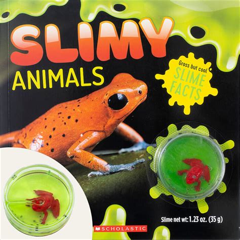 Slimy Animals By Activity Book The Parent Store