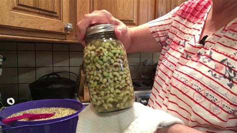 Canning Purple Hull Peas Youtube