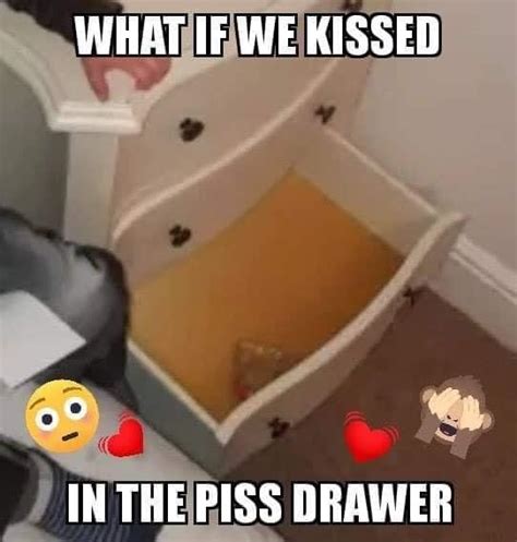 Piss Drawer Know Your Meme