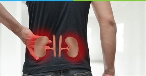 Common Kidney Diseases Symptoms Causes And Treatment