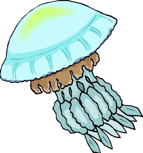 Jellyfish Clipart Free Clip Art Cliparting Com