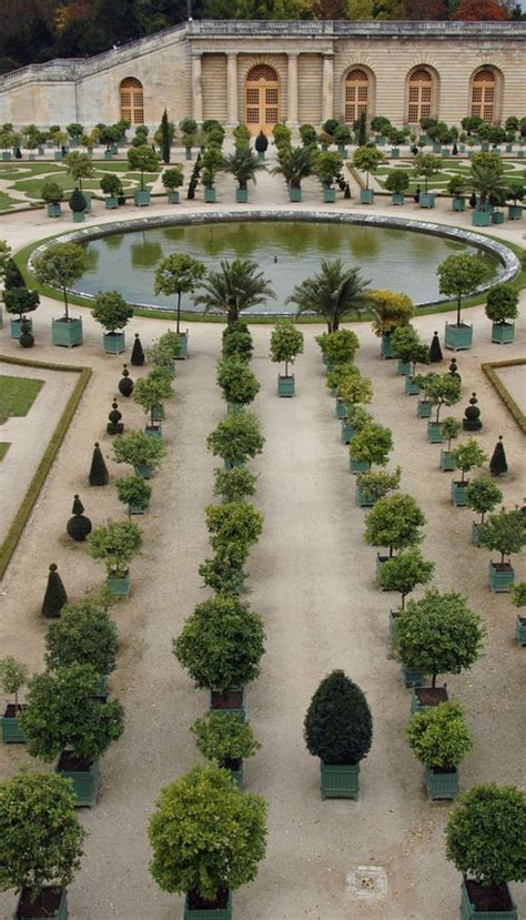 The Old World Charm Of Potted Citrus Trees Chateau Versailles