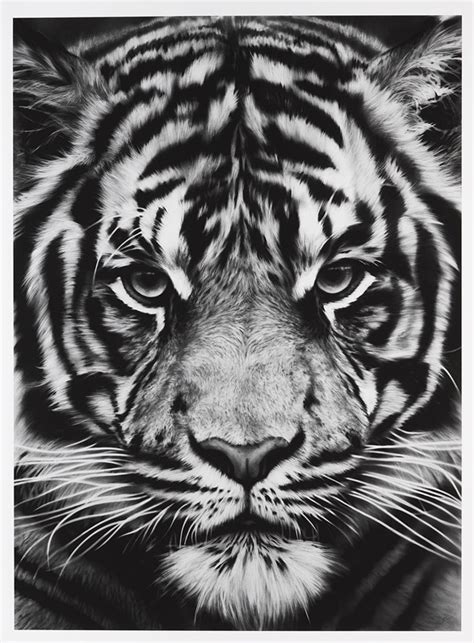 2016 New Arrived Wall Painting Tiger Poster Print On