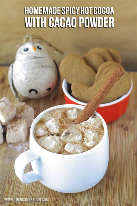 Orgain's zero net carb keto . How to Make Hot Cocoa with Cacao Powder (VIDEO) | The