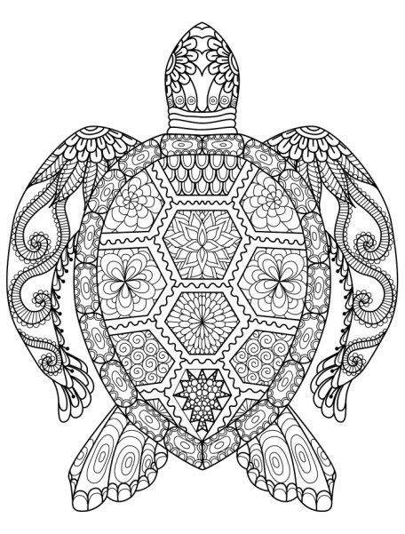 Select from 35970 printable crafts of cartoons, nature, animals, bible and many more. Turtle Coloring Pages For Adults Easy - Worksheetpedia