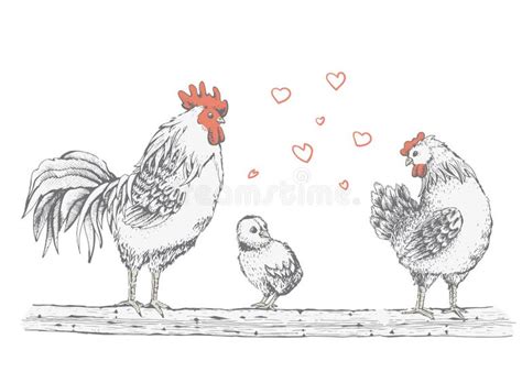 Drawing Cock Stock Illustrations 8708 Drawing Cock Stock
