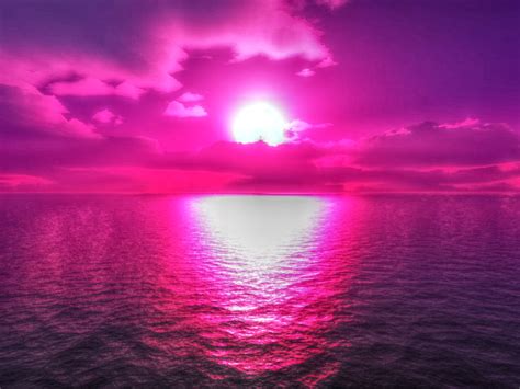 Purple Sunset Ocean Sunset Sunrise Sunset Sunset Pictures Pink
