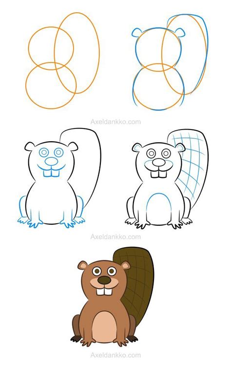 How To Draw A Beaver Comment Dessiner Un Castor Cartoon Drawings