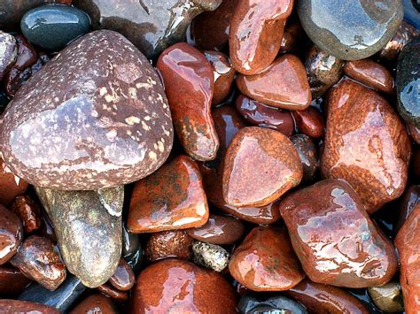Free Download Hd Wallpaper Brown And Gray Stones On Focus Photo