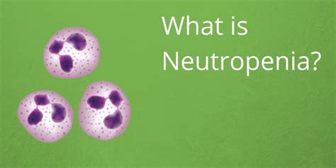 What Is Neutropenia Medivizor