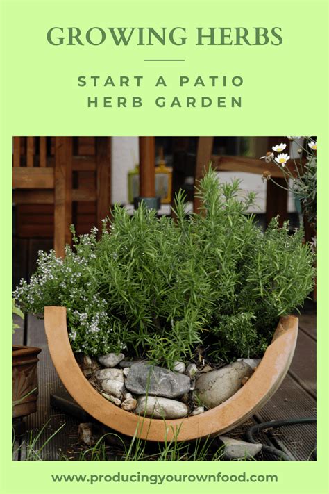 Growing Herbs Start A Patio Herb Garden Producing Your Own Food
