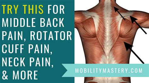 Middle Back Pain Rotator Cuff Pain Neck Pain Golfers Elbow And