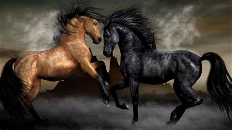 Selain itu kuda poni juga biasanya memiliki ekor serta rambut yang lebih tebal dan panjang. Koleksi Gambar Binatang Kuda