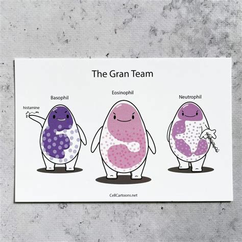 The Gran Team Sticker Is Shown In Three Different Colors And Sizes