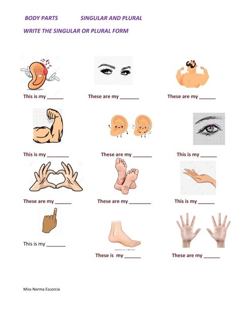 Body Parts Online Exercise For Begginners