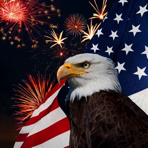 Patriotic Bald Eagle Wallpapers Top Free Patriotic Bald Eagle Backgrounds WallpaperAccess