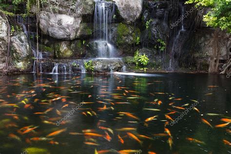 Koi Fish In Pond At The Garden With A Waterfall — Stock Photo