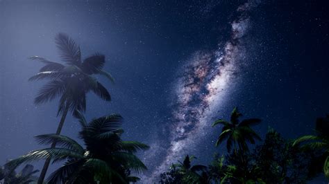 4k Astro Of Milky Way Galaxy Over Tropical Rainforest 5629979 Stock