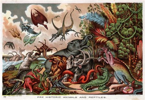 19th Century Illustration Of Pre Historic Animals And Reptiles