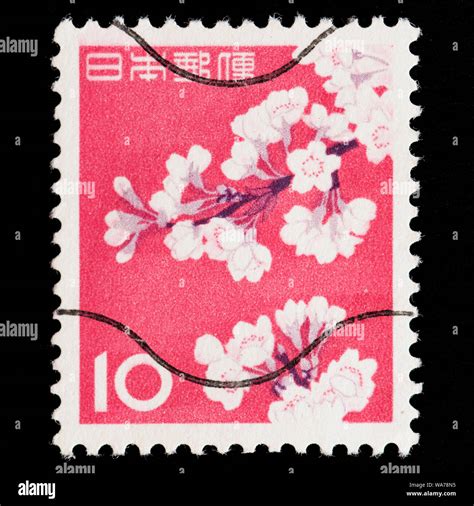 Japan Postage Stamp Cherry Blossoms Stock Photo Alamy