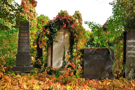 Zentralfriedhof Wien Grab An Grab