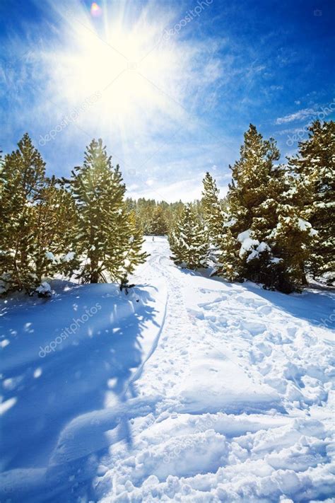 Snow Path In Snowy Mountain Forest Stock Photo By ©serrnovik 28467759