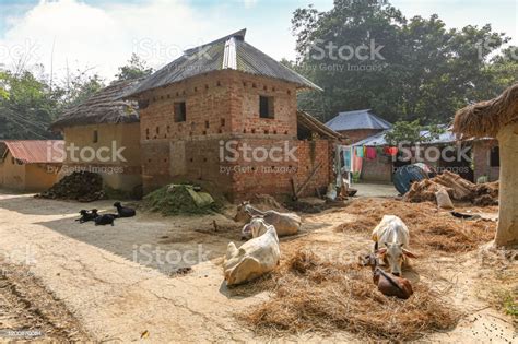 Rural Indian Village At Bolpur West Bengal With View Of Mud Hut With