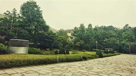 I Ve Got A Fantastic Abroad Experience In Ewha A Review For Ewha