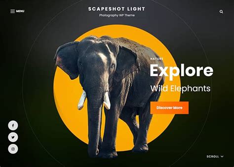 Scapeshot Light Free Light Fullscreen Photography Wordpress Theme