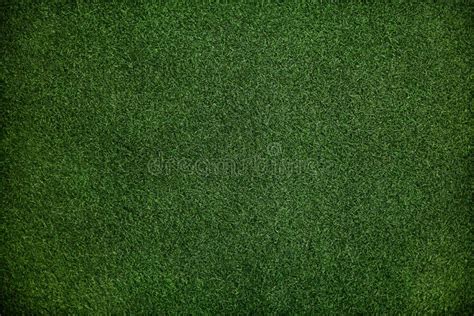 Green Grass Field Picture Image 14291946