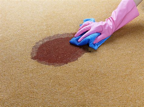 The 9 Best Carpet Stain Removers Of 2022