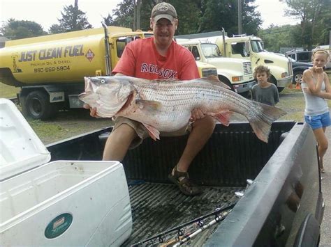 Striped Bass Catch May Be World Record