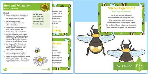 Bee And Pollination Science Experiment Activity Early Years