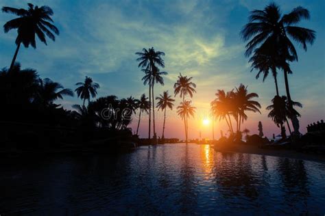 Beautiful Twilight On Tropical Beach With Silhouettes Of Palm Trees