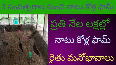 Hen Farms Vedios In Telugunatu Kolla Farms In Telugu Youtube