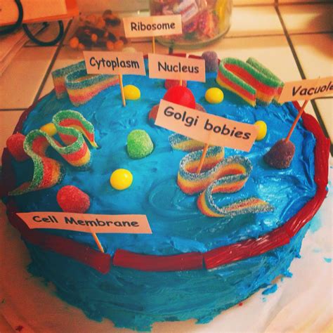 Animal Cell Project | Animal cell project, Cells project ...