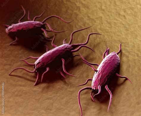 3d Illustration Of Bacterium Listeria Monocytogenes Gram Positive