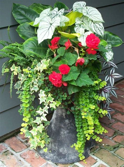 8 Stunning Container Gardening Ideas Home And Garden