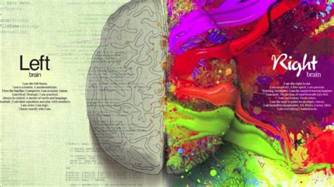 It is strongly verbal and reacts best to verbal input such as reading, spelling, writing, and sequencing. Left Brain Right Brain Wallpaper (59+ pictures)