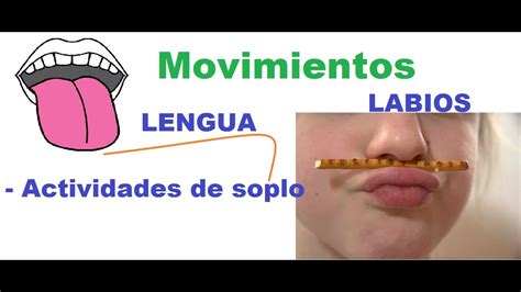 Movimientos De Lengua Labios Y Actividades De Soplo Youtube