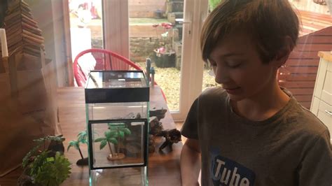 Newttube Praying Mantis Enclosure Set Up Youtube