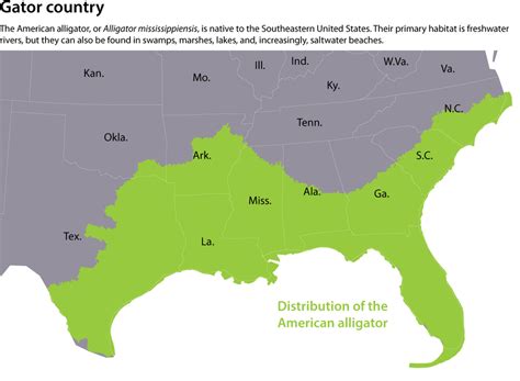 Alligators In South Carolina Map World Map