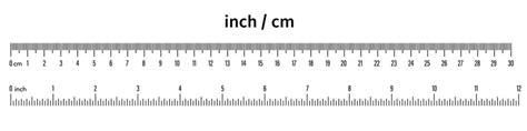 Actual Size Ruler Inches On Screen Sale Shop Save 50 Jlcatjgobmx