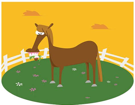 Horse Eating Illustrations Royalty Free Vector Graphics And Clip Art