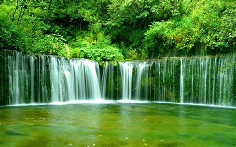 Rainforest Waterfalls Waterfall In Forest Fond Ecran
